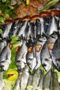 Mixed fish for sale on a market with vegetables, sea bream, orata, dorada, salmon, trout, mackerel, healthy eating concept top vie Royalty Free Stock Photo