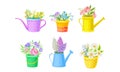 Mixed Flower Bouquets Standing in Buckets and Watering Can Vector Set