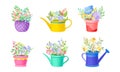 Mixed Flower Bouquets Standing in Buckets and Watering Can Vector Set