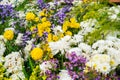 Mixed flowers; yellow cosmos, white orchid, marigold to be arranged in one zone., Thailand Royalty Free Stock Photo