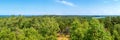 Mixed forest on the background of the sea. Panorama, landscape Royalty Free Stock Photo