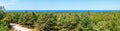 Mixed forest on the background of the sea. Panorama, landscape Royalty Free Stock Photo