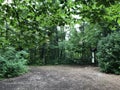 Mixed forest in the canyon and vegetation in the Rak river valley, Cerknica - Notranjska Regional Park, Slovenia Royalty Free Stock Photo