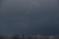 Nature of Russia, Moscow region in winter. The mixed forest covered with snow. Dark blue hurricane cloud over firs and