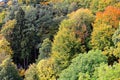 Dense forest in nature park fall season landscape