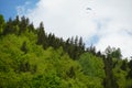 Mixed forests with para gliders flying above scattered under the overcast sky in springtime.