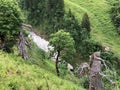 Mixed forests and trees in the Sihltal valley and by the artifical Lake Sihlsee, Studen - Canton of Schwyz, Switzerland