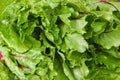 Mixed fresh, dark, leafy greens