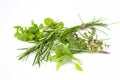 Mixed fresh herbs