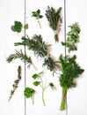 Mixed fresh herbs Royalty Free Stock Photo