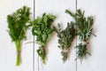 Mixed fresh herbs Royalty Free Stock Photo