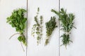 Mixed fresh herbs Royalty Free Stock Photo