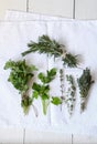 Mixed fresh herbs Royalty Free Stock Photo