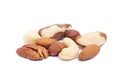 Mixed fresh nuts isolated Royalty Free Stock Photo