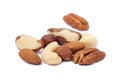 Mixed fresh nuts Royalty Free Stock Photo