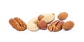 Mixed fresh nuts isolated Royalty Free Stock Photo