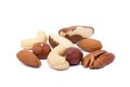 Mixed fresh nuts Royalty Free Stock Photo