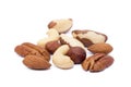 Mixed fresh nuts Royalty Free Stock Photo