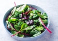 Mixed fresh salad leaves in a blue bowl top view Royalty Free Stock Photo