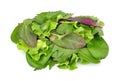 Mixed fresh salad leaves Royalty Free Stock Photo