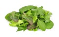 Mixed fresh salad leaves Royalty Free Stock Photo