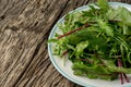Mixed fresh salad leaves on plate with copy space Royalty Free Stock Photo