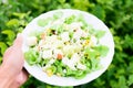 Mixed fresh vegetables salad in white dish Royalty Free Stock Photo