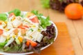 Mixed fresh vegetables salad in white dish Royalty Free Stock Photo