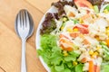 Mixed fresh vegetables salad in white dish Royalty Free Stock Photo