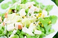 Mixed fresh vegetables salad in white dish Royalty Free Stock Photo