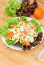 Mixed fresh vegetables salad in white dish Royalty Free Stock Photo