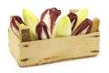 Mixed fresh yellow and red chicory in a wooden crate Royalty Free Stock Photo