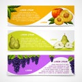 Mixed fruits banners collection