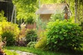 Mixed garden border with blooming spirea japonica Yellow Princess, Hydrangea Annabell, hostas and heucheras in sunny summer