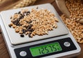 Mixed grains, including light brown and black seeds, are placed on a digital kitchen scale displayin Royalty Free Stock Photo