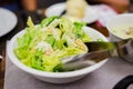 Mixed greens salad Royalty Free Stock Photo