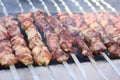 Mixed grilled meat platter. Assorted delicious grilled meat. The closeup of some meat skewers being grilled in a barbecue. grilled Royalty Free Stock Photo