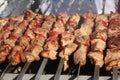 Mixed grilled meat platter. Assorted delicious grilled meat. The closeup of some meat skewers being grilled in a barbecue. grilled Royalty Free Stock Photo