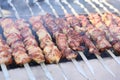 Mixed grilled meat platter. Assorted delicious grilled meat. The closeup of some meat skewers being grilled in a barbecue. grilled Royalty Free Stock Photo