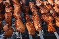 Mixed grilled meat platter. Assorted delicious grilled meat. The closeup of some meat skewers being grilled in a barbecue. grilled Royalty Free Stock Photo