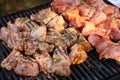 Mixed grilled meat platter. Assorted delicious grilled meat. The closeup of some meat skewers being grilled in a barbecue. grilled Royalty Free Stock Photo