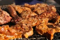 Mixed grilled meat platter. Assorted delicious grilled meat. The closeup of some meat skewers being grilled in a barbecue. grilled Royalty Free Stock Photo