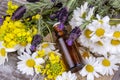 Mixed herbal oil. Essential oil various. Colorful flowers