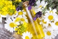 Mixed herbal oil. Essential oil various. Colorful flowers