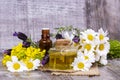 Mixed herbal oil. Essential oil various. Colorful flowers