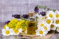 Mixed herbal oil. Essential oil various. Colorful flowers