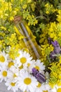 Mixed herbal oil. Essential oil various. Colorful flowers