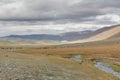 Mixed herd of yak, sheep and goats grazes in a mountain valley, Altai, Mongolia. Mongolian landscape, green pastures in the hills Royalty Free Stock Photo