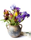 Mixed iris flowers in a vase Royalty Free Stock Photo