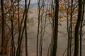Mountain Forest With Fog and Trees During Fall Royalty Free Stock Photo